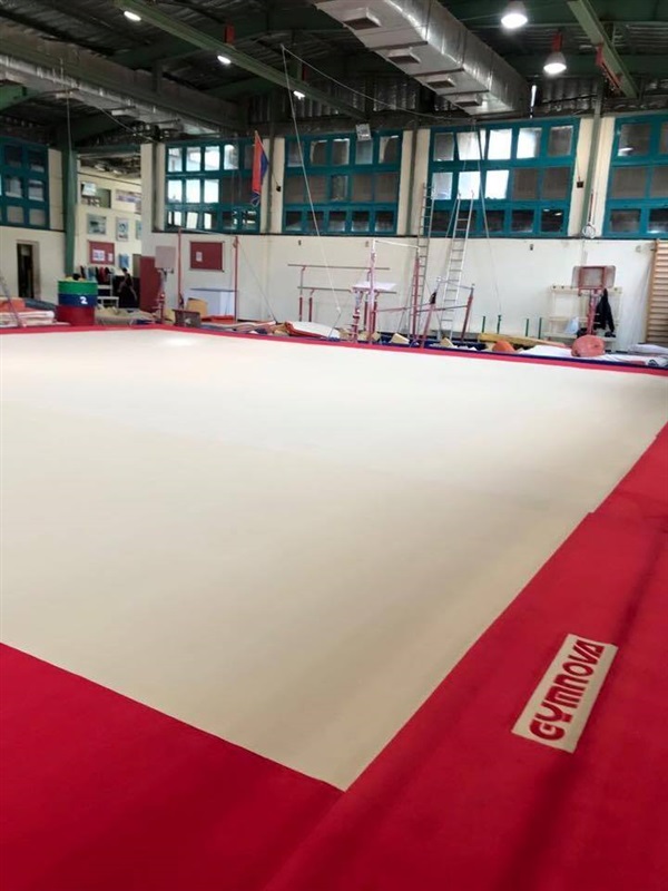 بالصور..الصيد يحصل على أحدث صالة جمباز للحركات الأرضية في العالم