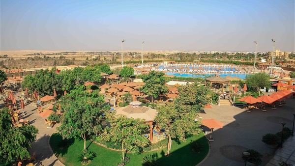 النادي الأهلي فرع