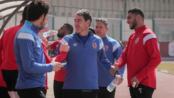 رينيه فايلر 