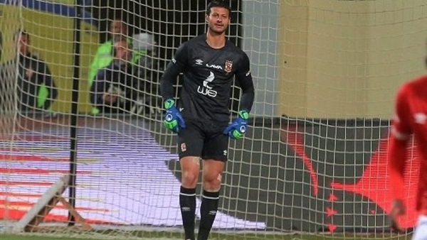 محمد الشناوي