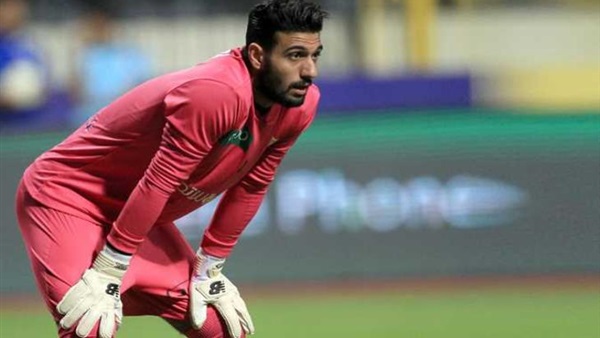 احمد الشناوي