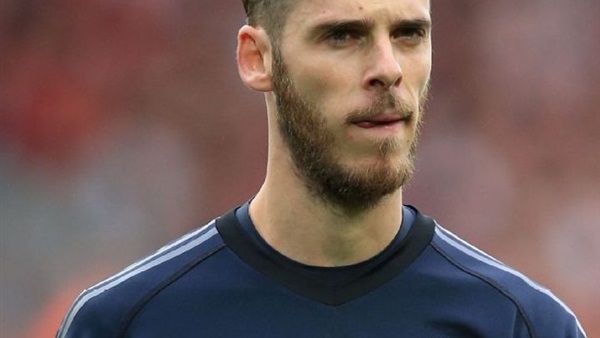 ديفيد دي خيا