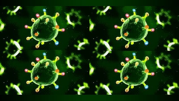 فيروس كورونا