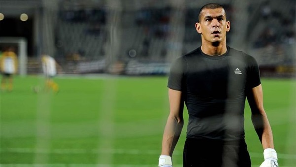 عبد الواحد السيد