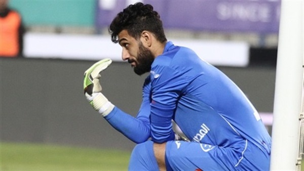 احمد الشناوي