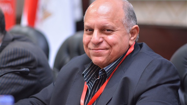 المهندس هاني محمود