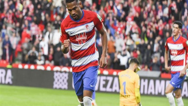 لاعب غرناطة