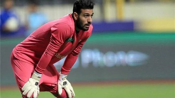 أحمد الشناوي 