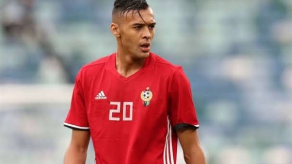 محمد انيس سالتو 