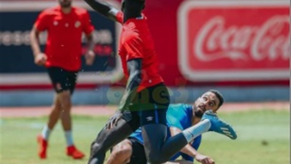 عمرو السولية