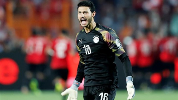 محمد الشناوي