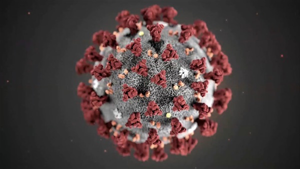 فيروس كورونا