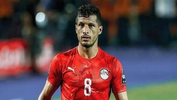 طارق حامد 