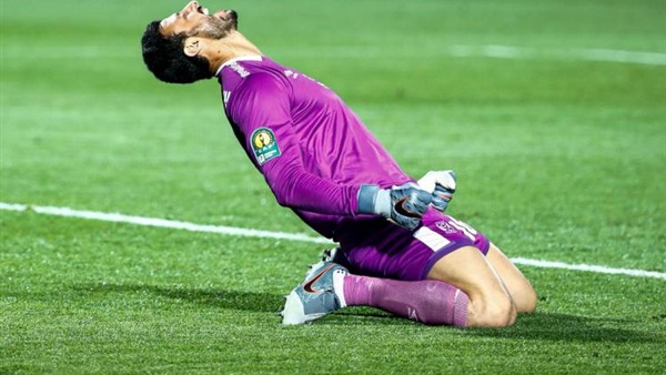 محمد الشناوي 