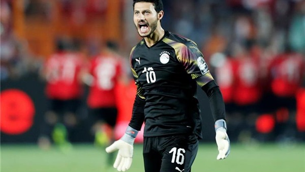 محمد الشناوي