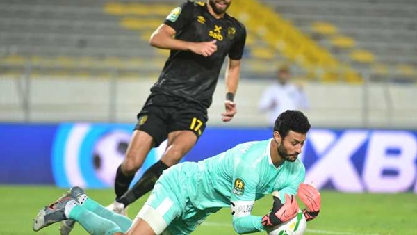 محمد الشناوي 