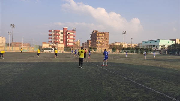 الدوري المصري القسم