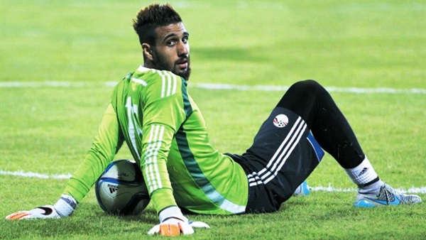 أحمد الشناوي 