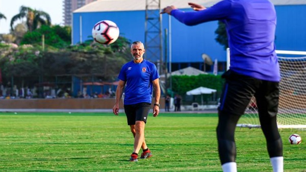 ميشيل يانكون