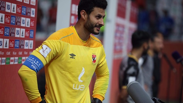 محمد الشناوي 