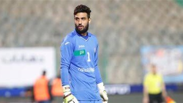 أحمد الشناوي