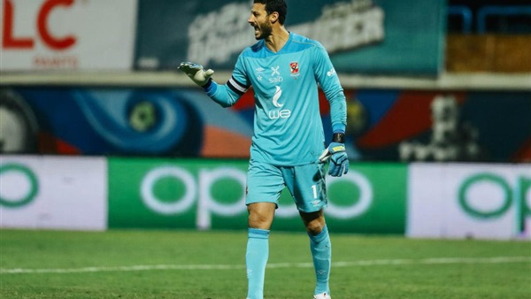 محمد الشناوي 