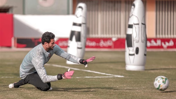 محمد الشناوي