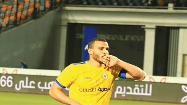 شكري نجيب