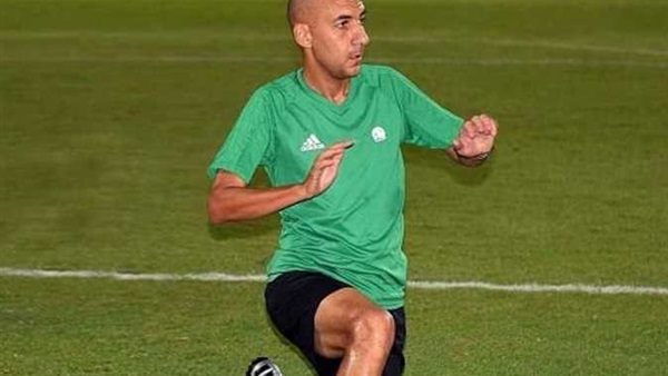 الحكم محمد عادل 