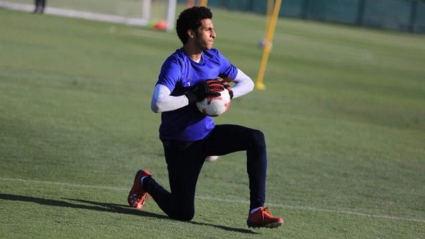 مصطفى شوبير 