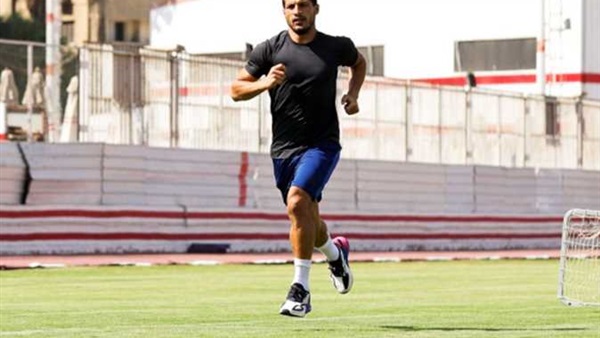 طارق حامد 