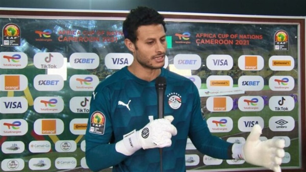 محمد الشناوي 