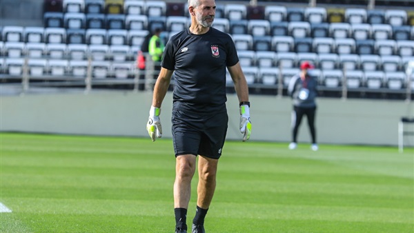 ميشيل يانكون 