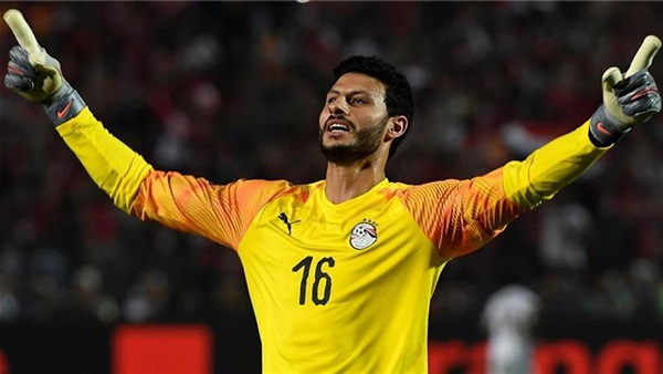 محمد الشناوي 