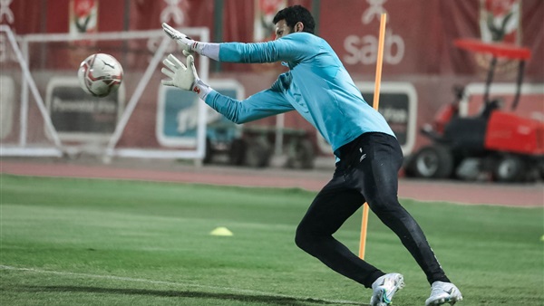 محمد الشناوي 