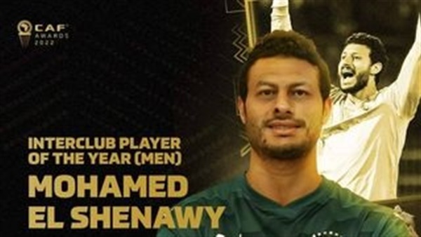 محمد الشناوي 