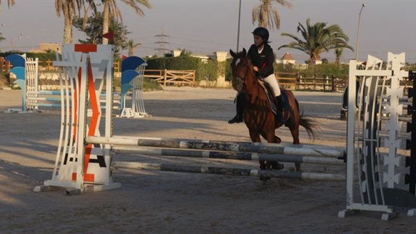 بطولة الجمهورية للفروسية