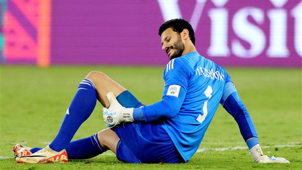 محمد الشناوي 