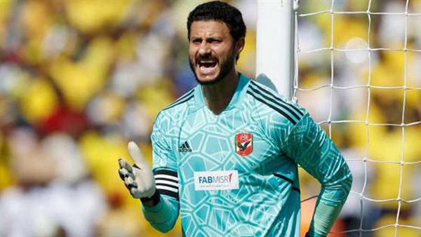 محمد الشناوي