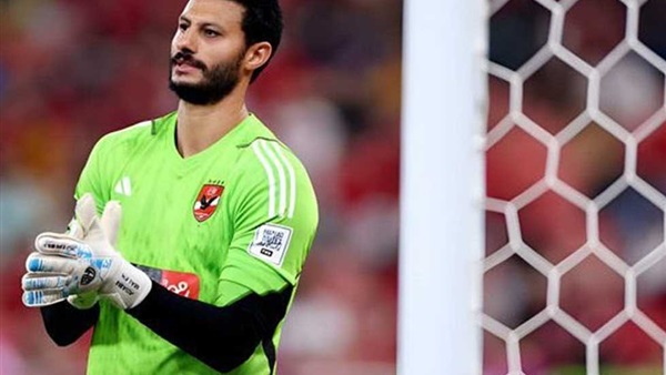 محمد الشناوي 