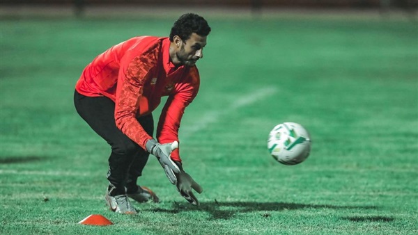 محمد الشناوي 