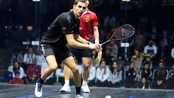 مصر وألمانيا 