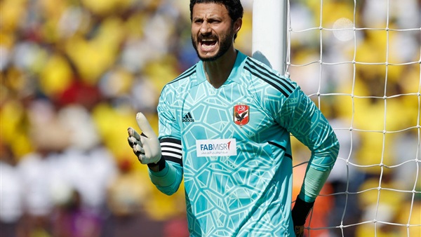 محمد الشناوي 