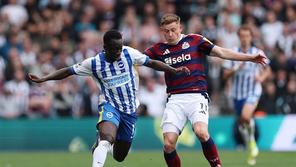 كامل أبو علي ومحافظ