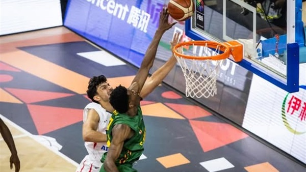 مصر والكاميرون