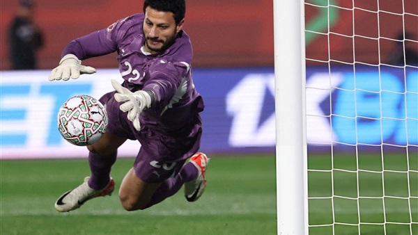 محمد الشناوي 