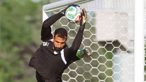 محمد علاء 