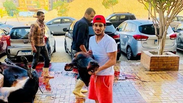 وان ثري| بوابة الرياضة المصرية 