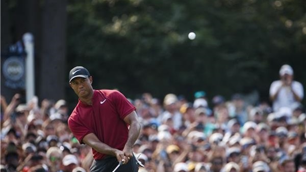 تايجر وودز نجم الجولف