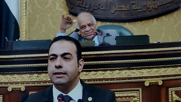 محمود حسين عضو مجلس